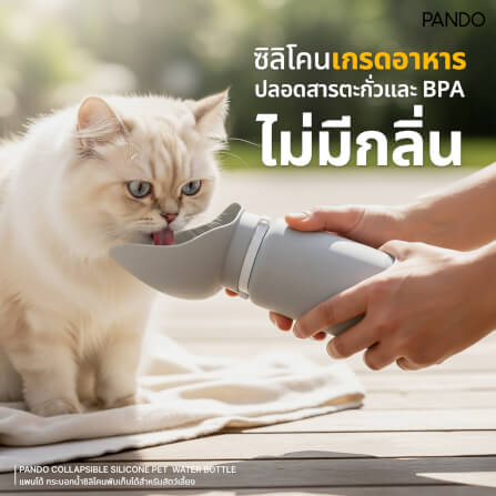 ขวดน้ำสำหรับสัตว์เลี้ยง PANDO ซิลิโคนพับได้ สีเทา_2